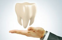 Ред Возле Dr Подписи